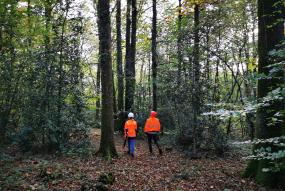 two workers in a forest