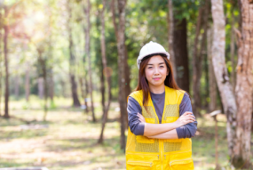Forest manager worker