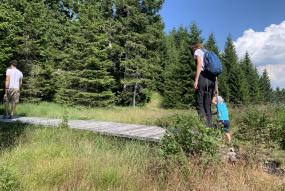 Walking in forest Italy