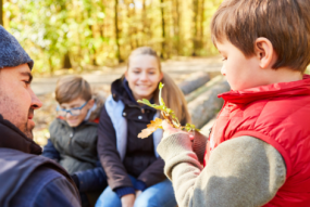 Education in forest