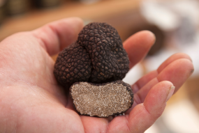 Truffles 2