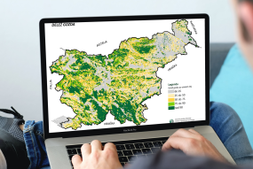 Slovenian forests on map