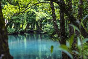 Old-growth forest Janj Bosnia