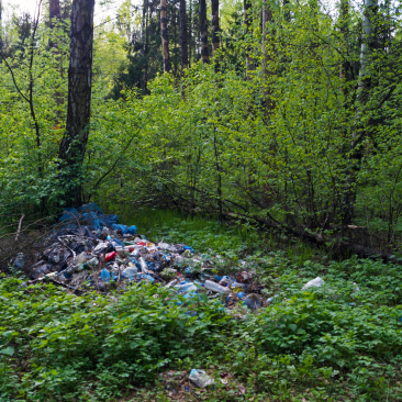 Forest garbage 