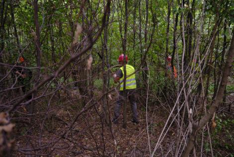 forest dark yellow vest