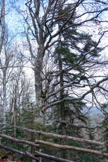 Trail Mašun Slovenia