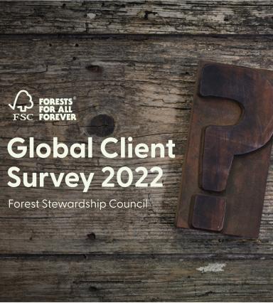 Global Client Survey graphic