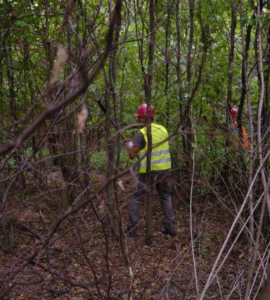 forest dark yellow vest