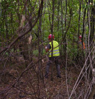 forest dark yellow vest