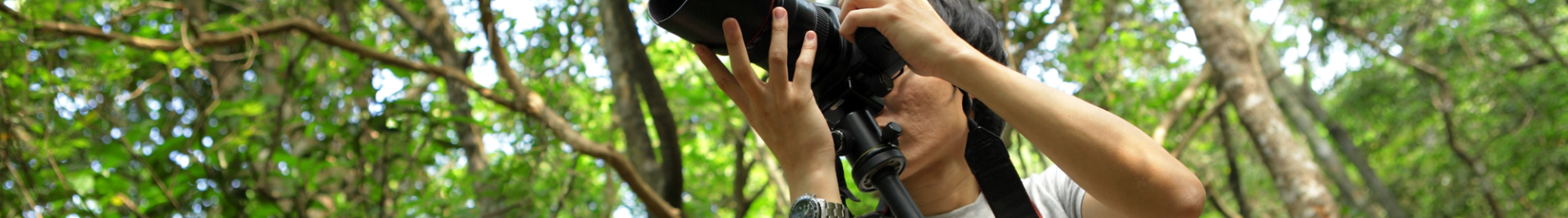 Photographer in forest camera