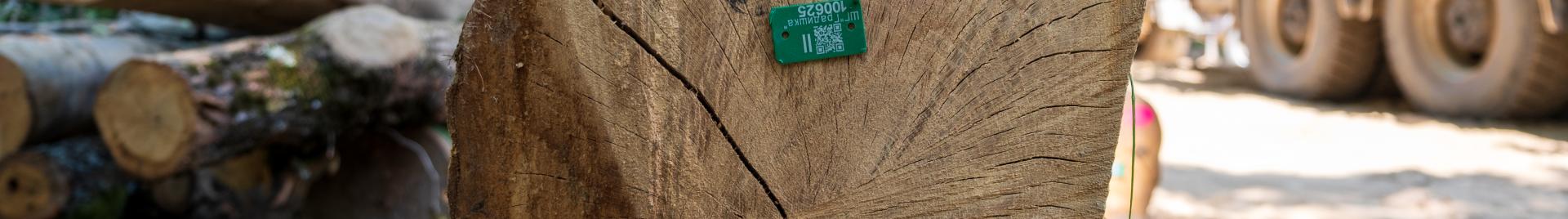 Timber log geolocation QR code