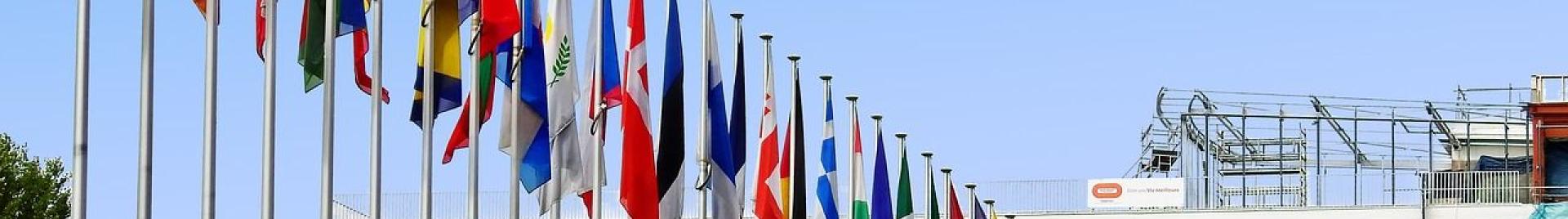EU flags