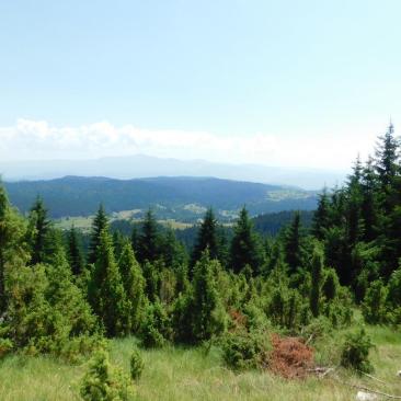 Nature park Cicelj Bosnia