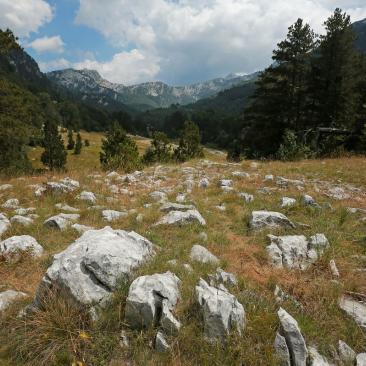 Nature park Orjen Bosnia