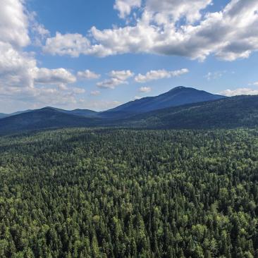 Old-growth forest reserve Lom Bosnia